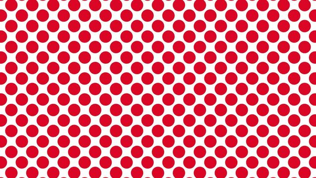 Simple pattern animation with red polka dots on a white background