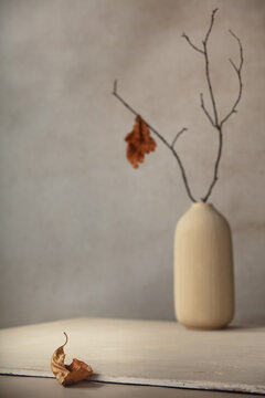 Minimalist monochrome still life composition with ceramic vase and autumn branch in beige color