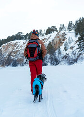 Rear view young man in red brown warm clothes with backpack with mixed breed dog in warm blue suit walking in snow among rocks and cliffs in winter Active lifestyle hiking pets adoption