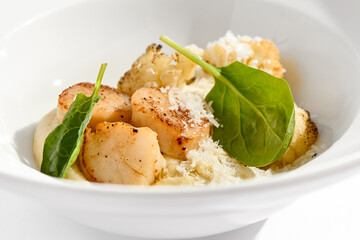 Gourmet dish - pan seared sea scallops with mashed potatoes, grilled cauliflowers on white plate. Scallops with vegetables and creamy espuma. Delicacy seafood in restaurant menu.