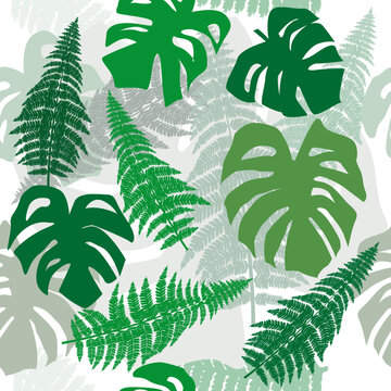 Jungle forest seamless pattern with Philodendron and fern