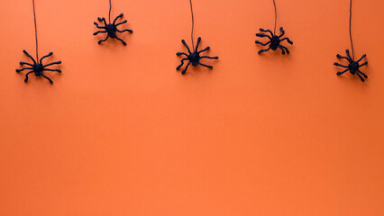 Black toy spiders descend on cobwebs on. Orange background for Halloween