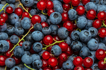 close up, blueberry and red currant background, place for text, top view
