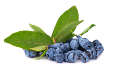 Honeysuckle with green leaves isolated on white background. Ripe berries of honeysuckle.