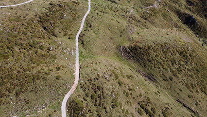 paesaggi montagna natura fiori alberi cielo verde