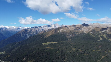 paesaggi montagna natura fiori alberi cielo verde