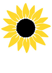 Sunflower vector file 