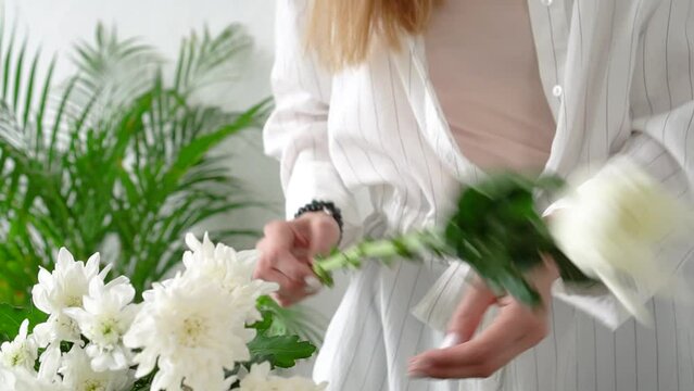 Close-up, a florist girl with long hair removes leaves from the stem of a beautiful delicate white Chrysanthemum, no face, only hands.