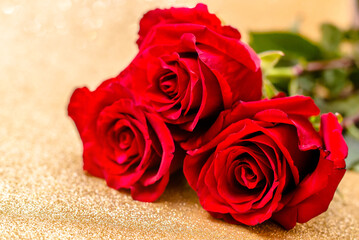 Red rose on a shiny gold background

