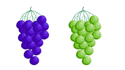 illustration of  bunch of grape isolated on white background in vector format. 