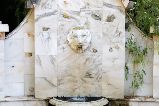 Wall fountain from the head of a lion pours water.