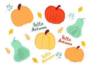 Set of various colored pumpkin. Thanksgiving and Halloween elements for design.
