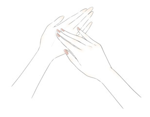 綺麗な手のイラスト