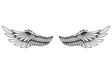 Fototapeta premium Vintage heraldic wings sketch. Monochrome stylized birds wings. Hand drawn contoured stiker wing in open position. Design elements in coloring style