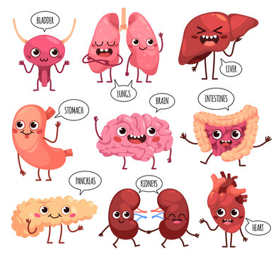 Cartoon cute organs characters. Happy healthy human organs, funny kidney, lungs and brain, stomach with faces, speech bubbles with text, anatomy collection tidy vector isolated set
