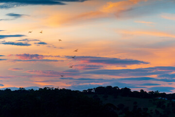 sunset over the city