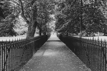 bridge in the park