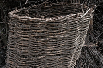 Wicker basket. old wicker basket eaten by tree worms. tree wormwood background