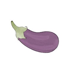 juicy ripe eggplant - hand drawn watercolor illustration
