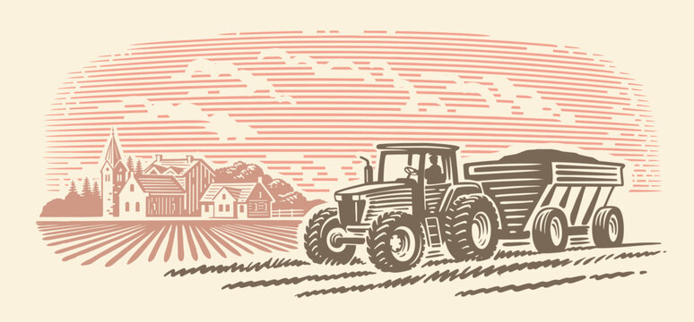 Tractor carries grain. Rural landscape. Autumn harvest