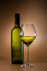 Bottle and glass of white wine. Copy space for your text