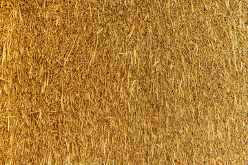 Close-up of straw detail at construction of ecological renewable low energy sustainable wooden eco...