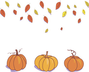 Set of pumpkins png. Vector collection of pumpkins without background. Elements for autumn decorative design, Halloween invitations, harvest thanksgiving