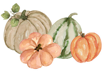 Pumpkin group element for Thanksgiving or Halloween in Autumn, watercolor painting hand painted