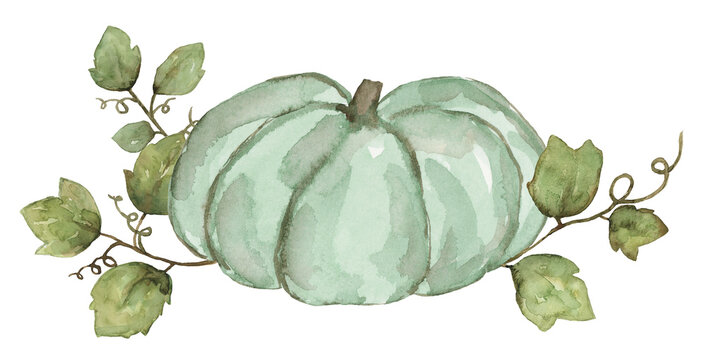 Green Pumpkins with Leaves of Thanksgiving or Halloween in Autumn, Hand Painted Element