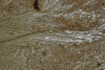 Moments of the  Beach 