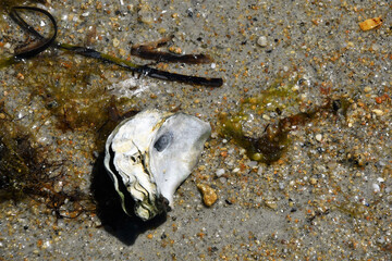 Moments of the  Beach 