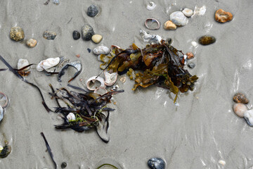 Moments of the  Beach 