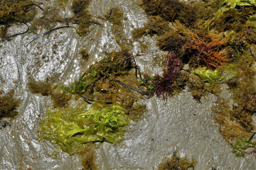 Moments of the  Beach 