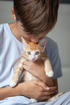 Portrait of a ginger kitten, which is held by a child in his hands. Domestic animals concept. Friendship between kids and pets.