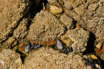 Moments of the  Beach 