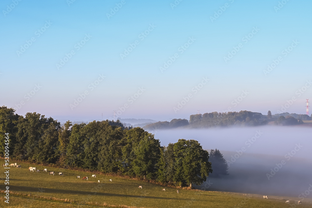 Poster Belgique Wallonie Ardenne paysage brouillard automne Vaux sur Sure village losange elevage agriculture