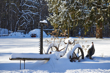 After a Snow Storm