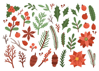 Christmas berry leaf and branch set flat vector © spirka.art