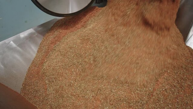 Mix of spices and herbs falling out of blending machine in condiment factory