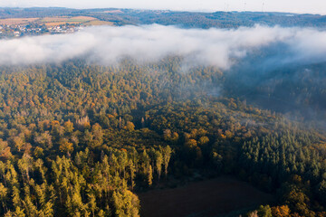 Aerial view of a forest in Taunus/Germany with morning fog