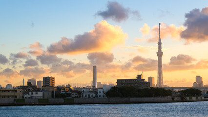 Fototapeta premium 東京都葛飾区 中川奥戸展望デッキから見える夕暮れの街並みと東京スカイツリー