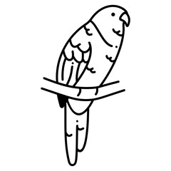Eastern Rosella icon