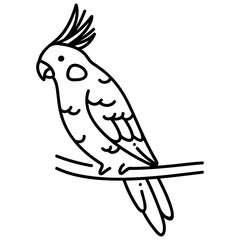 cockatiels icon
