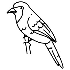 Orange-crowned oriole icon