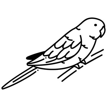 bourke’s parakeet icon