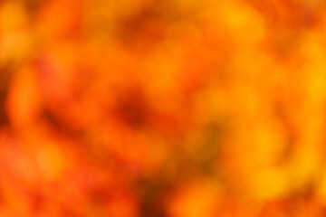 defocused orange background. orange color defocused background. orange defocused background