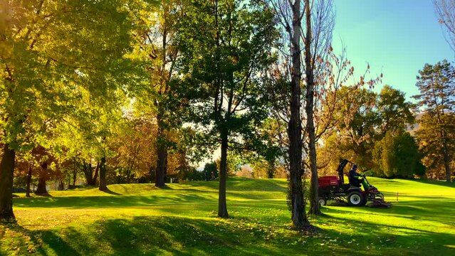 Lawn Mower Machine Cleaning Up the Autumn Leaf on Golf Course with Trees and Sunlight in Switzerland.