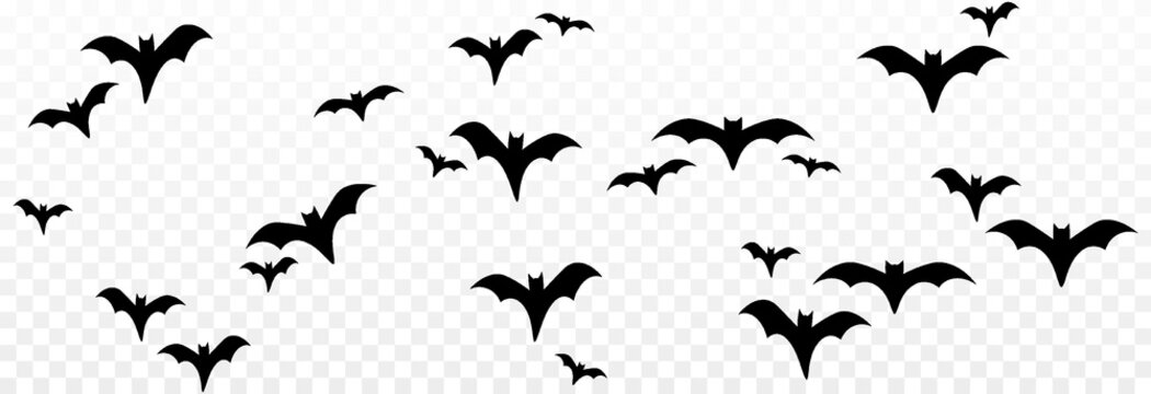 Vector set of bats on an isolated transparent background. Silhouette of bats PNG. Halloween bats PNG. Black bats.