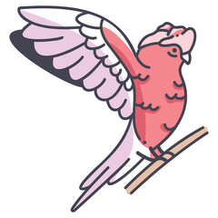 Galah Cockatoo icon