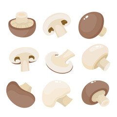 Cartoon vector collection of mushroom royal champignon. - 530099598